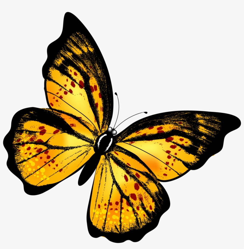 Per Aspera Ad Astra [book], transparent png #27358