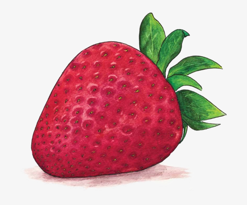 Svg Transparent Richard Lewis Experience Designer Responsive - Strawberry, transparent png #27383