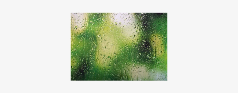 Grass, transparent png #27938