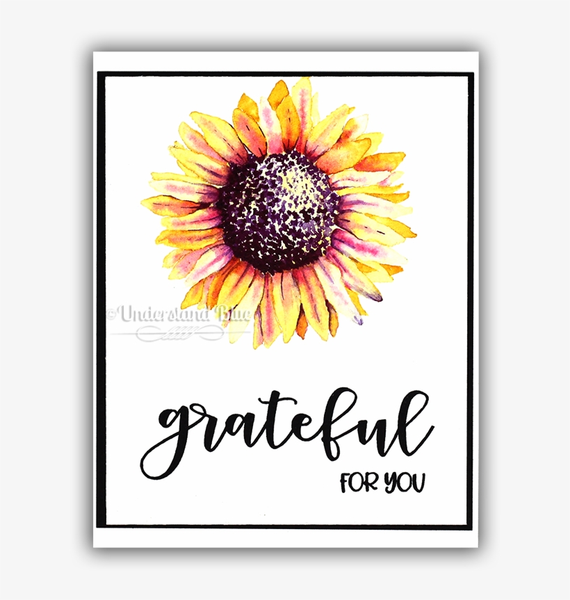 No Line Watercolor Of A Sunflower By Understand Blue - Black-eyed Susan, transparent png #27958