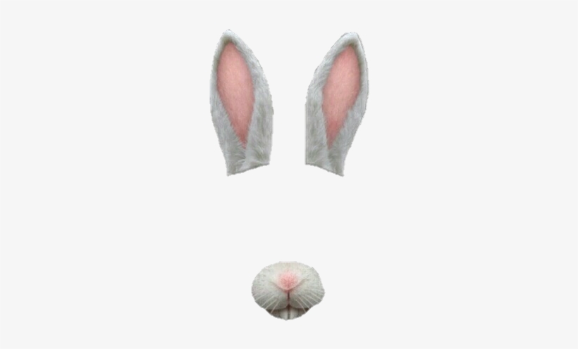 Png Snapchat Filters - Bunny Ears Transparent Png, transparent png #28049