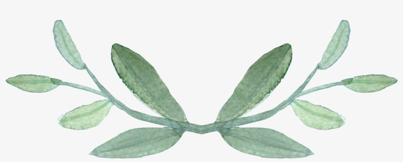 Awfv - Greenery Png, transparent png #28226