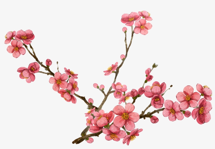 Cherry Blossom Clipart At Getdrawings - Cherry Blossom Png, transparent png #28284