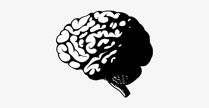 Brain - Mind, transparent png #28402