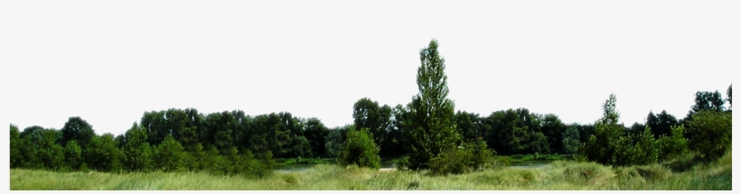 Tent, transparent png #28504