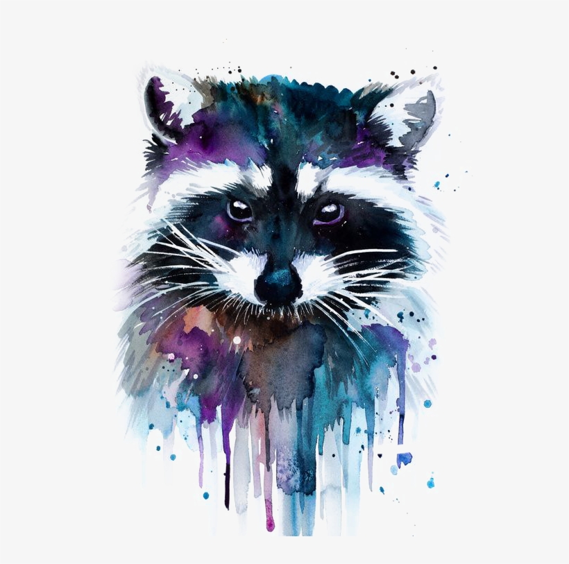 Vector Black And White Stock Watercolor Painting Artist - Raccoon Watercolor, transparent png #28525