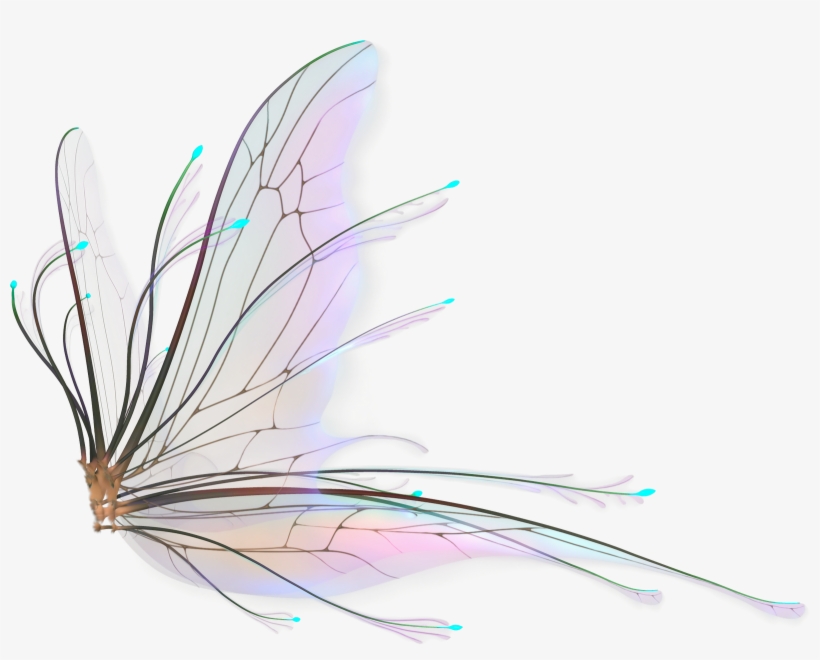 Fairy Wings Png - Realistic Fairy Wings Png, transparent png #28664