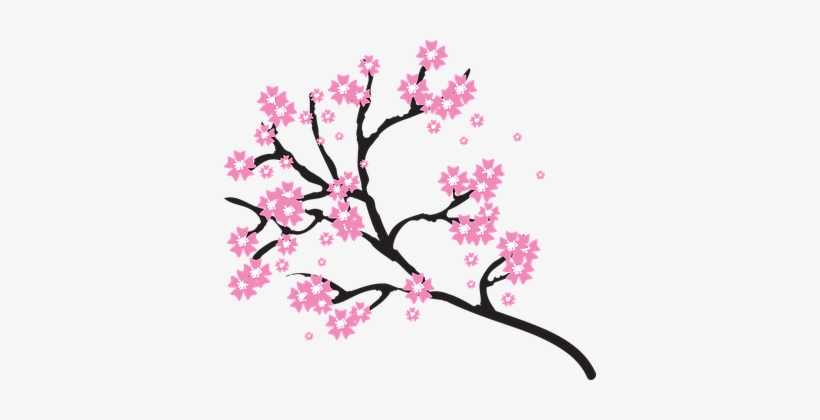 Blossoms Branch Cherry Floral Flowers Natu - Transparent Background Cherry Blossom Clipart, transparent png #28685