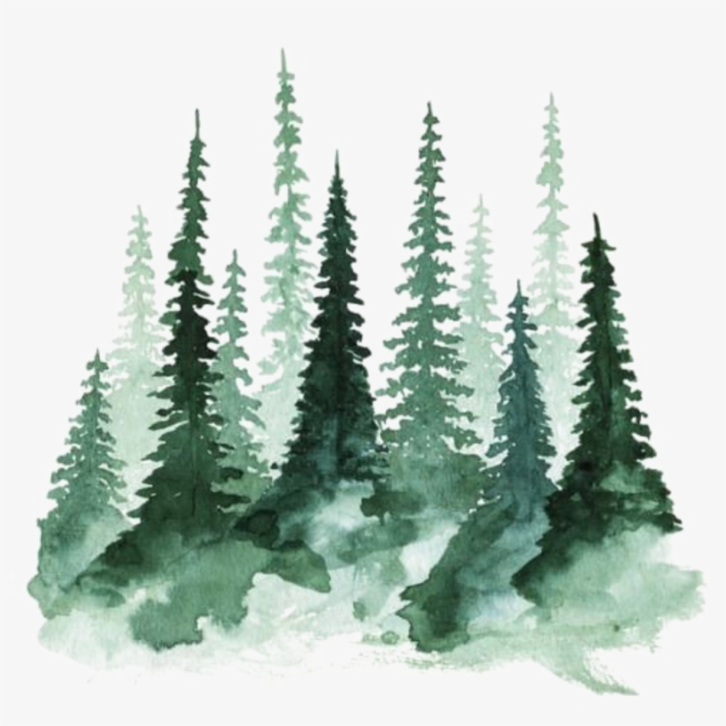 Ftestickers Watercolor Trees Pinetrees Forest - Watercolor Trees, transparent png #28815