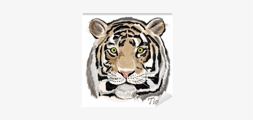 Beautiful Vector Background With Hand Drawn Watercolor - Loom And Mill Animal Heads Tiger Throw Pillow Colour:, transparent png #28931
