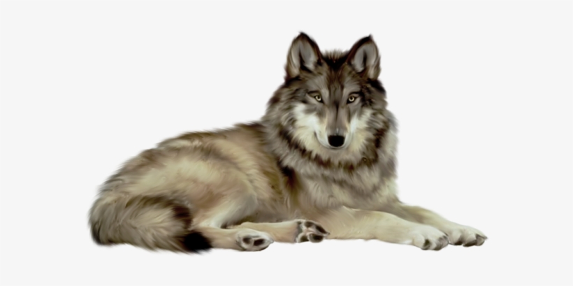 Wolf Png File - Wwseven Animal Crystal Diamond Painting Diy Resin Diamond, transparent png #29022
