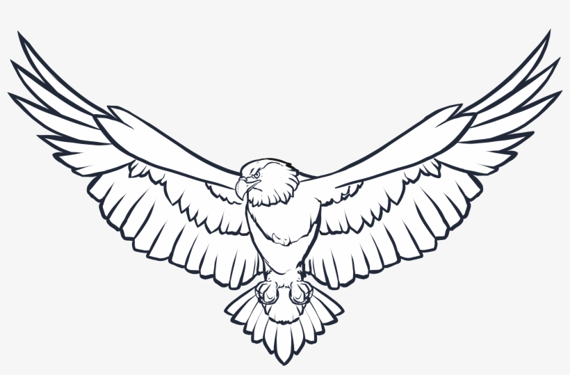 Eagle Wings Png Photo - Eagle Black And White, transparent png #29064