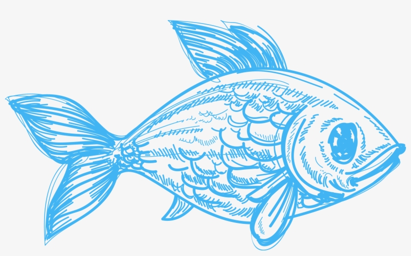 Drawing Deep Sea Creature Pencil Sketch Fish - Pencil Drawings Of Sea Creatures, transparent png #29540