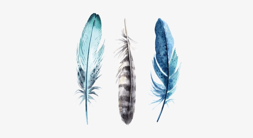 Bleed Area May Not Be Visible - Watercolor Feathers, transparent png #29875