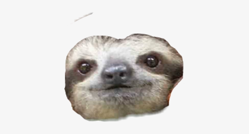 Whatchu Doin, transparent png #200005