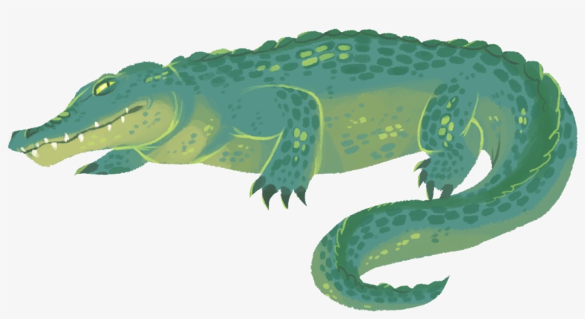 Crocodile Illustration - Crocodile Art, transparent png #200025