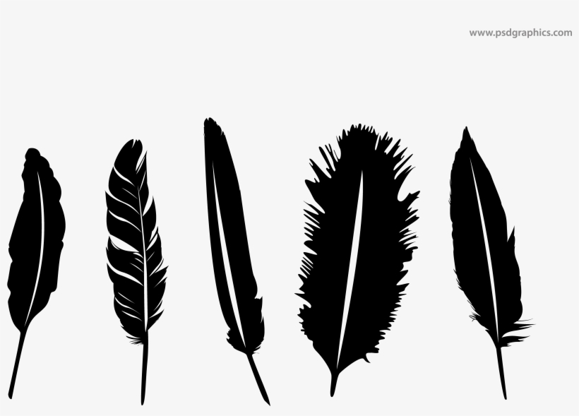 Feathers Silhouettes Png - Feather Png Vector, transparent png #200221