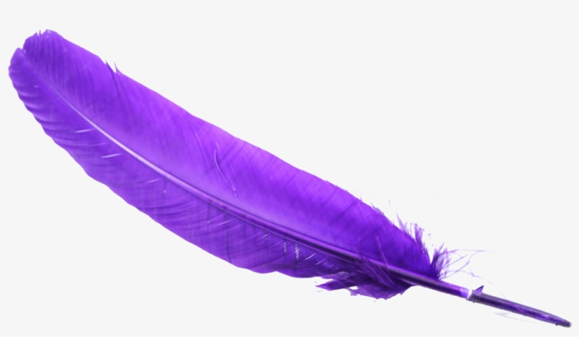 Feather Png - Clipart Purple Pen Transparent, transparent png #200525