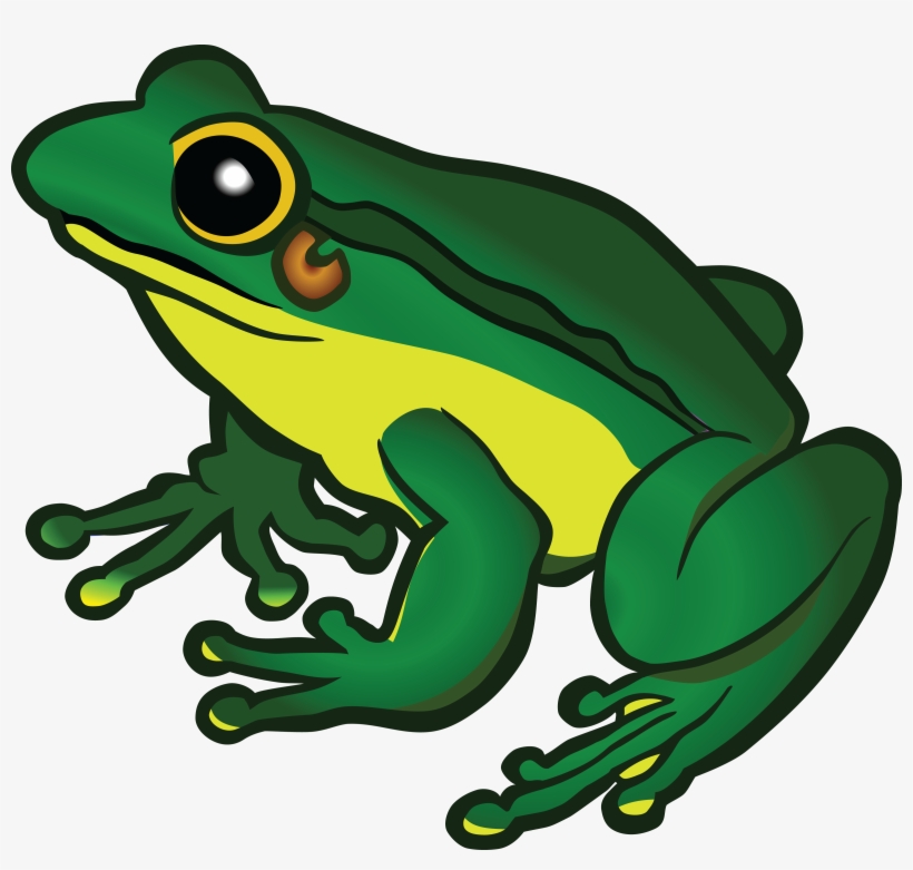 Frog Png Image Background - Frog Clipart, transparent png #200614
