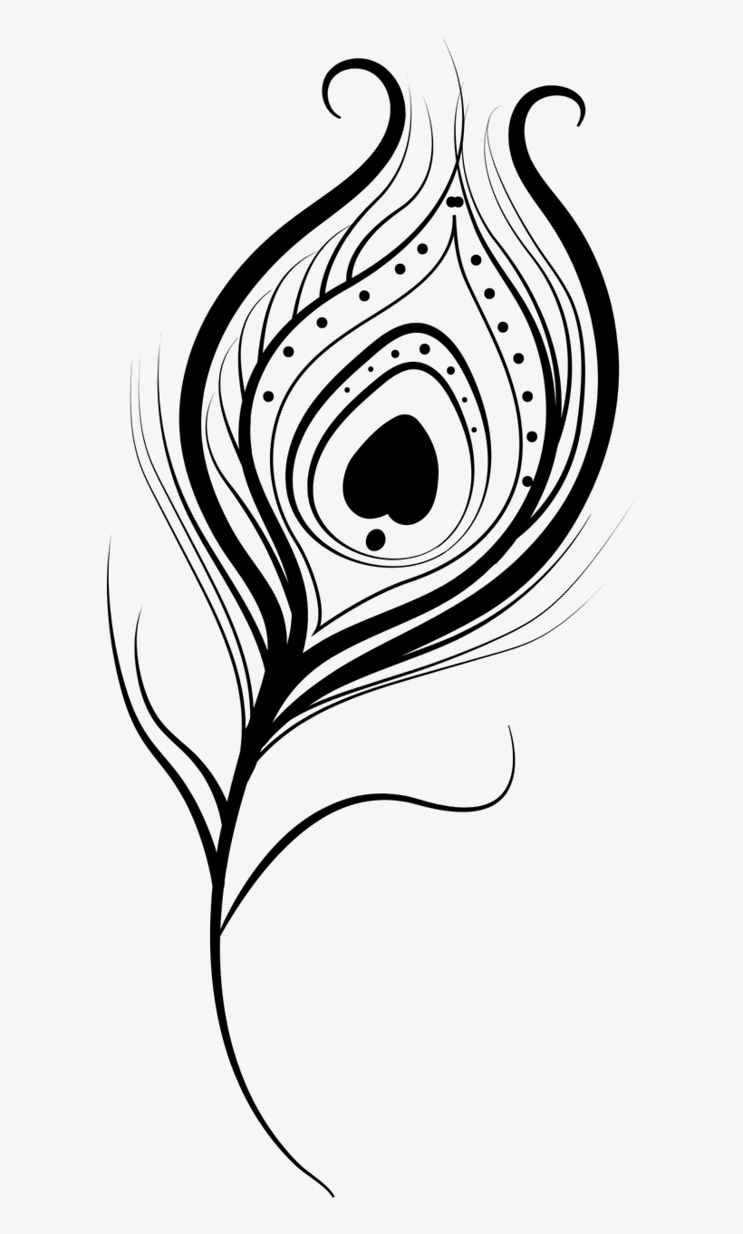 feather peacock vector isolated transparent image feather free transparent png download pngkey feather peacock vector isolated