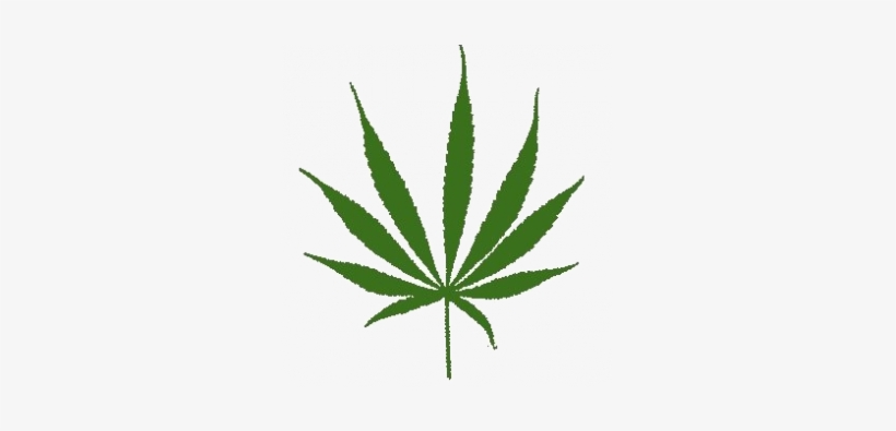 Transparent Sativa Leaf, transparent png #201127