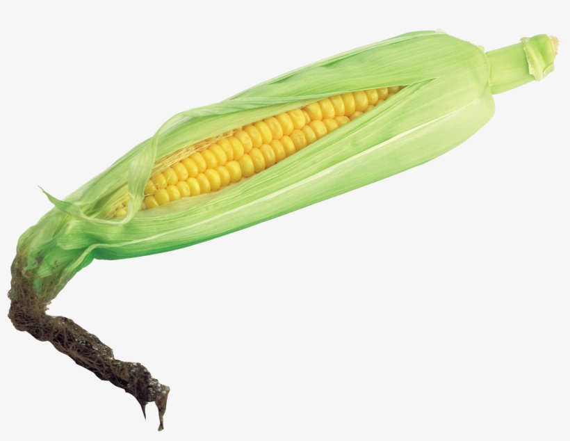 Corn Transparent Png File, transparent png #201145