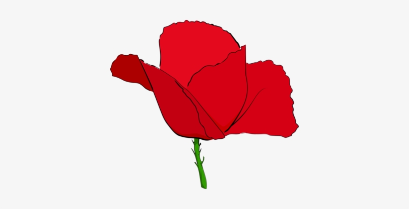 Common Poppy Remembrance Poppy Flower Red - Red Image Of Poppy Flower, transparent png #201308