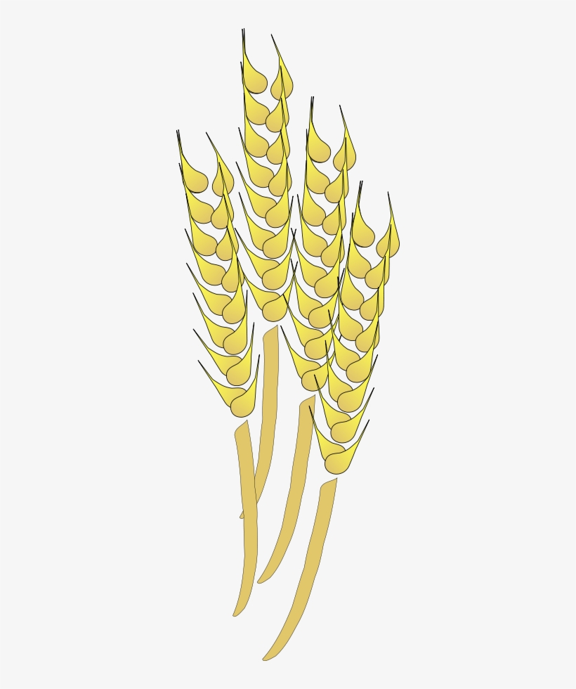 How To Set Use Wheat Clipart, transparent png #201457