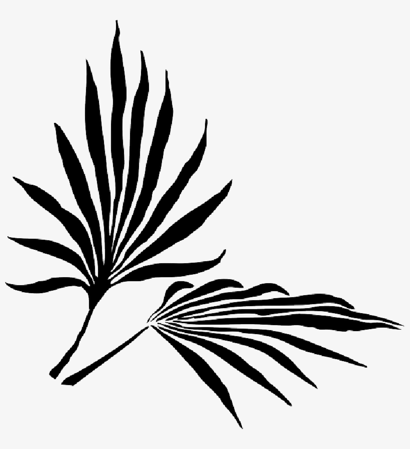 Palm Fronds Png Search Results Landscaping Gallery - Palm Frond Clip Art, transparent png #201842