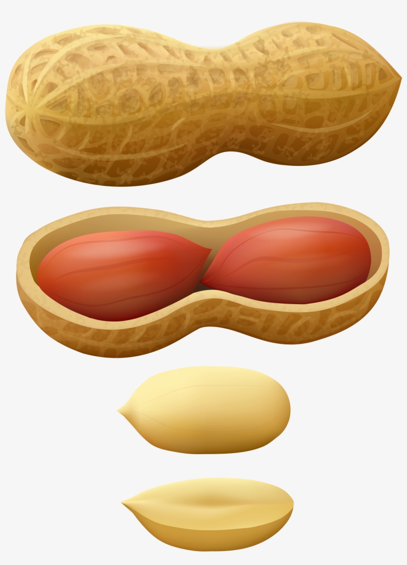 Pin By Muhammad Al-afandi On Design - Peanuts Clipart, transparent png #202267