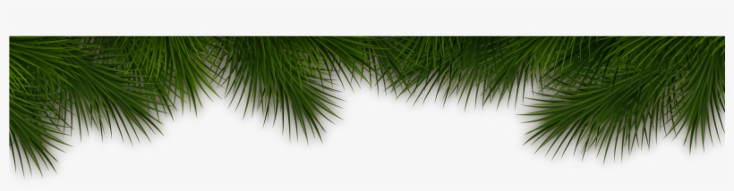 Color Peachie The Moose - Roystonea, transparent png #202273