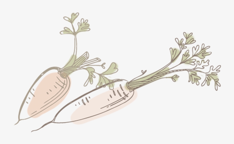 Food - Illustration, transparent png #202627