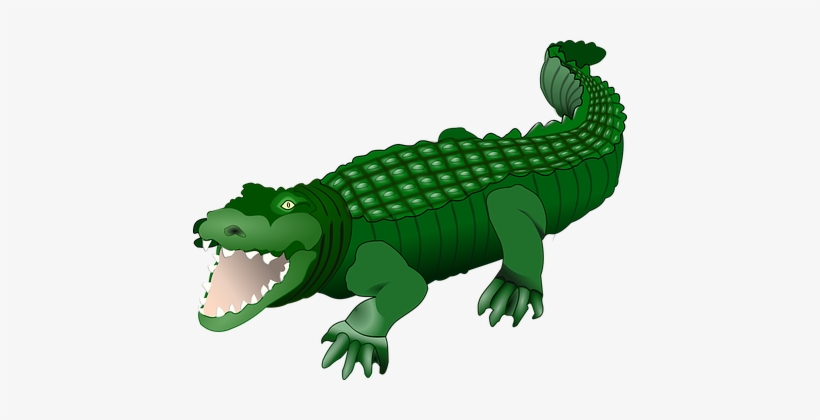Crocodile Alligator Animal Reptile Green W - Crocodile Clipart Png, transparent png #202868