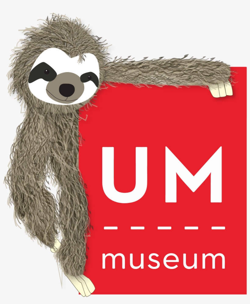 This The Library Sloth - University Of Mississippi Museum, transparent png #202911