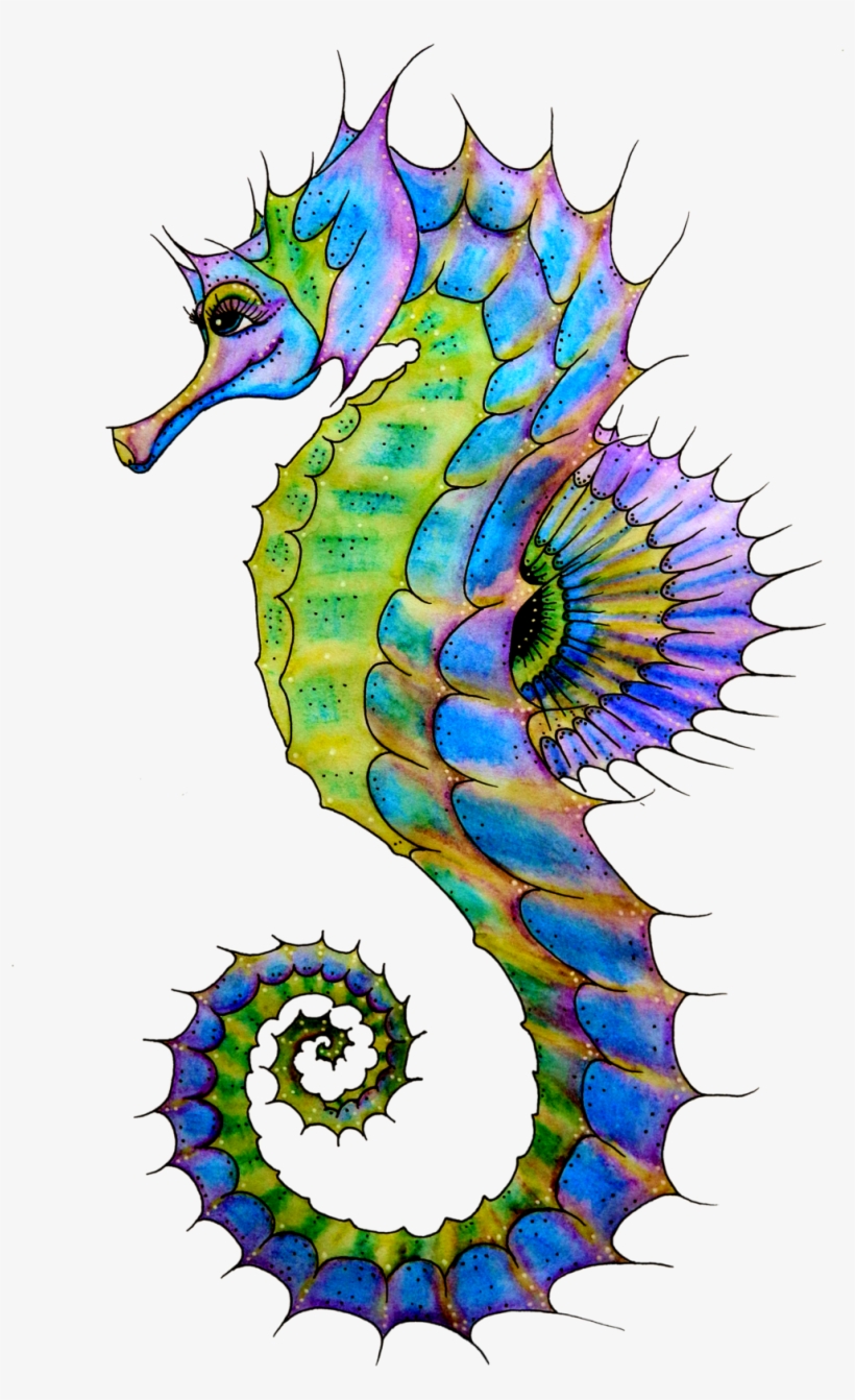 Seahorse Png Hd - Seahorse Png, transparent png #203156