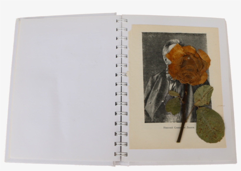 3, transparent png #203187