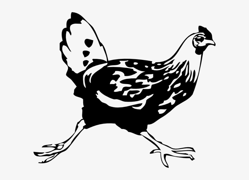 Chicken - Running Chicken Drawing, transparent png #203228