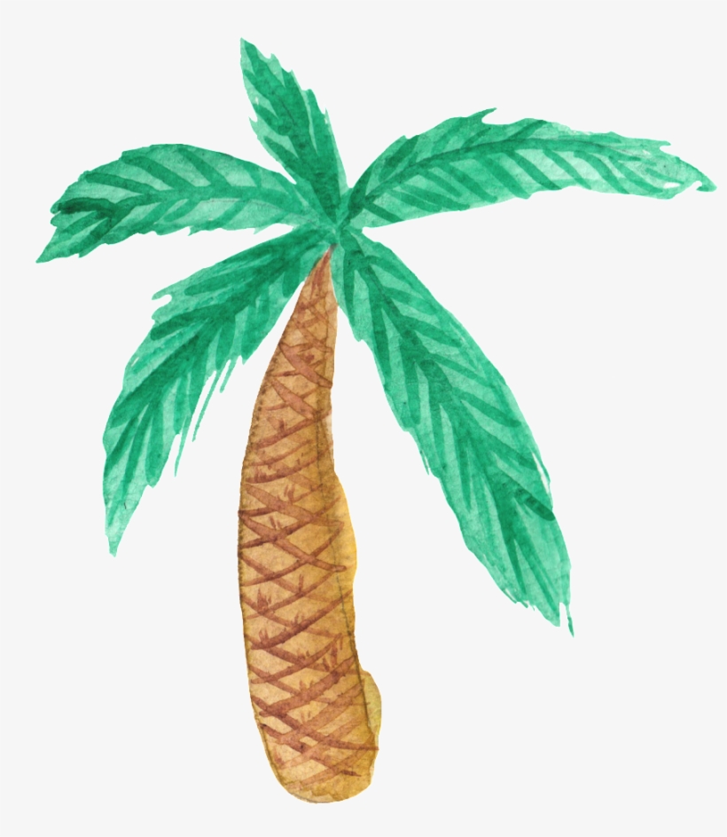 This Graphics Is Cartoon Hawaii Coconut Tree About - Topo De Bolo Flamingo, transparent png #203637