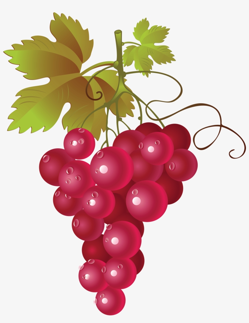 Grape Thirty - Red Grape Vector Png, transparent png #203757