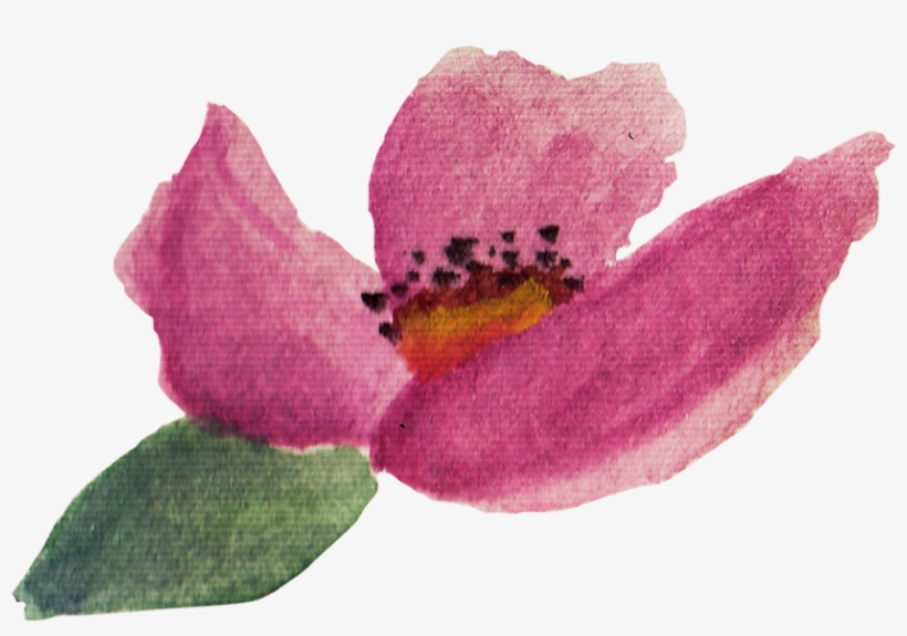 Baurbon And Graphics Pack Example Image - Trillium, transparent png #203958