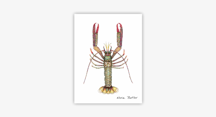 Shrimp- Nora Butlers Designs Butler, Limited Edition - American Lobster, transparent png #204343