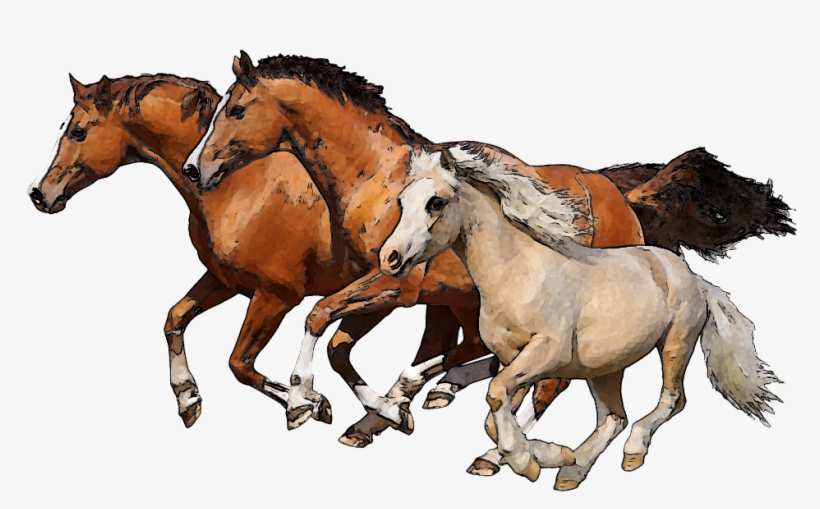 Download Png Image Report - Running Horses Png, transparent png #204933