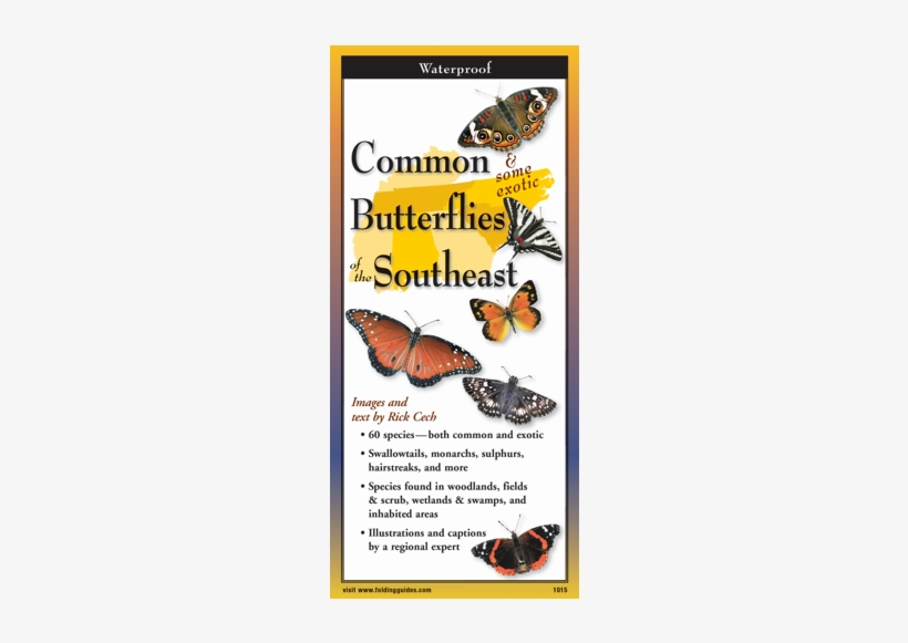 Common Butterflies Of The Southeast Folding Guide, transparent png #205423