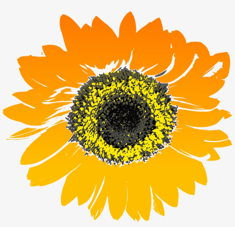 Sunflower - Sunflower Clipart, transparent png #205475
