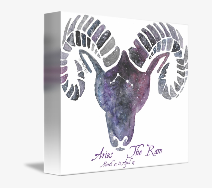 "aries The Ram" By Stina Waters, // The Constellation - Aries Ram, transparent png #205526
