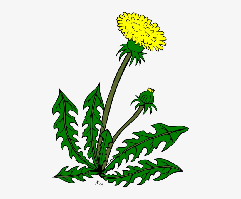 Clip Arts Related To - Clip Art Of Weeds, transparent png #205848