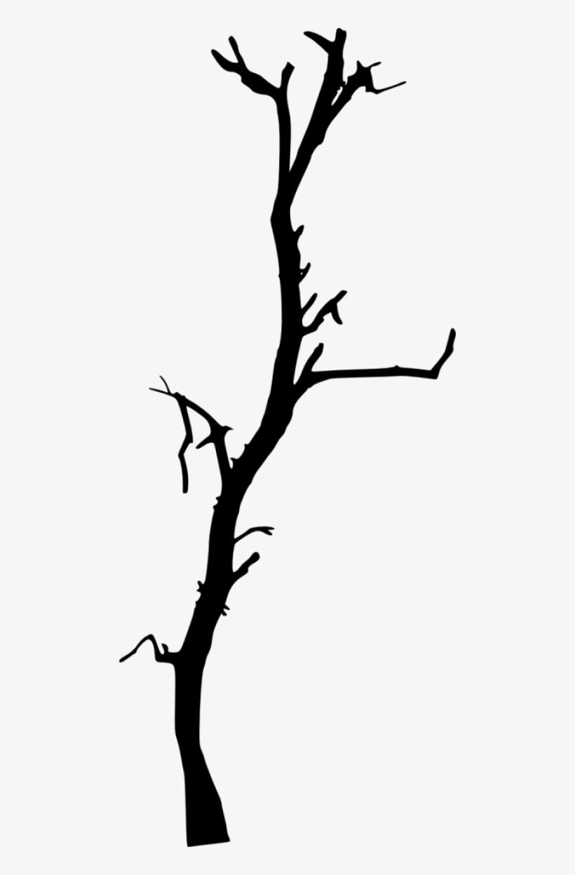 Free Png Dead Tree Silhouette Png Images Transparent - Dead Tree Silhouette, transparent png #206031