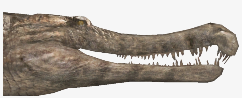 Sarcosuchus Teeth, transparent png #206202