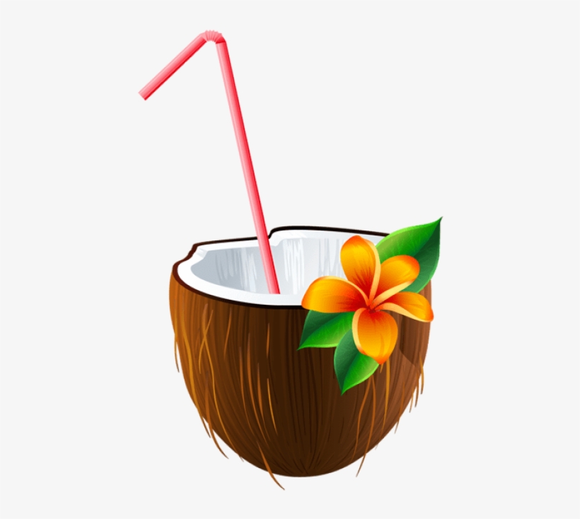 Exotic Cocktail Png Image Jpg Pinterest - Coconut Drink Png, transparent png #206466