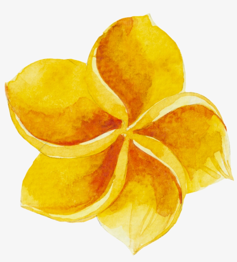 Watercolour Watercolor Sticker Ftestickers Flowers, transparent png #206633